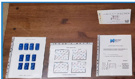 Domino Dissection setup